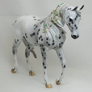 THE THEORY OF EVERYTHING - OOAK Appaloosa Thoroughbred with Delicate Flowers & Ribbons - 2/15