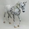 THE THEORY OF EVERYTHING - OOAK Appaloosa Thoroughbred with Delicate Flowers &amp; Ribbons - 2/15