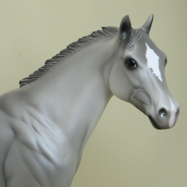 MOUSE TRAP - OOAK Gray Appaloosa Stock Horse 4/15