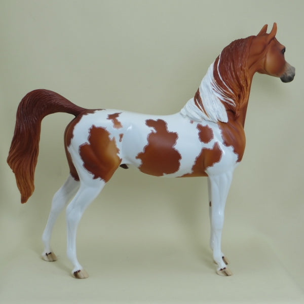 ANTIGO - OOAK Chestnut Pinto Arabian with Mapping 4/15