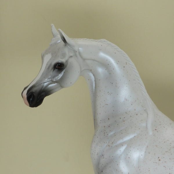 Boot Scootin' Boogie - 2015 Country Fair Fleabit Arabian Model Horse - LE45 - 4/15
