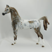 BENA PHEASANT - OOAK Chestnut Appaloosa Marwari Arabian Model Horse - 5/15