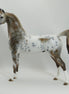BENA PHEASANT - OOAK Chestnut Appaloosa Marwari Arabian Model Horse - 5/15
