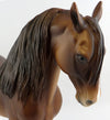 chestnut