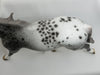 GROUSELAND - OOAK Unique Appaloosa Palouse 4/15
