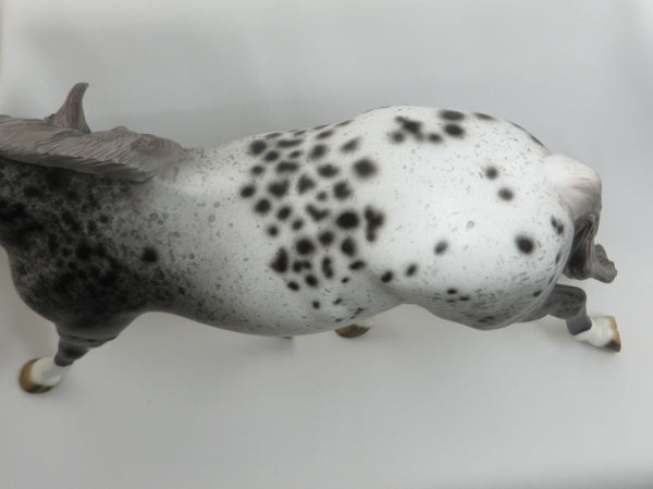 GROUSELAND - OOAK Unique Appaloosa Palouse 4/15