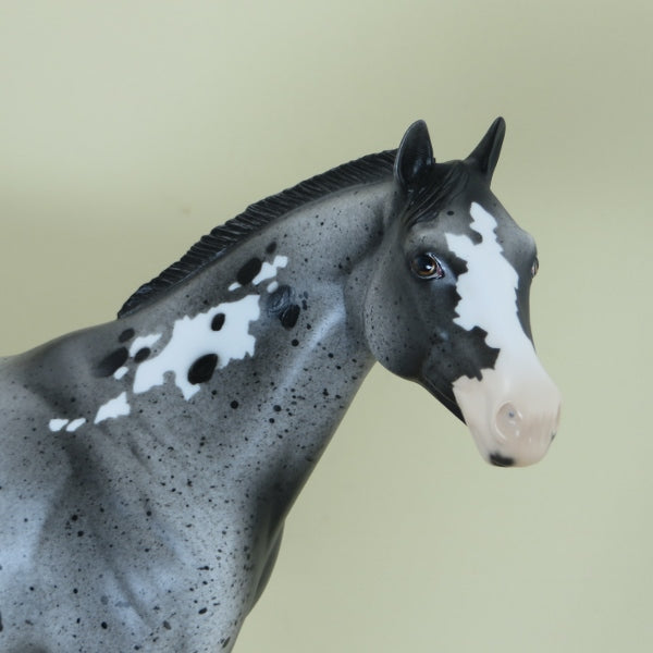 PARLIAMENT - OOAK Appaloosa Stock Horse with Ratty Mane