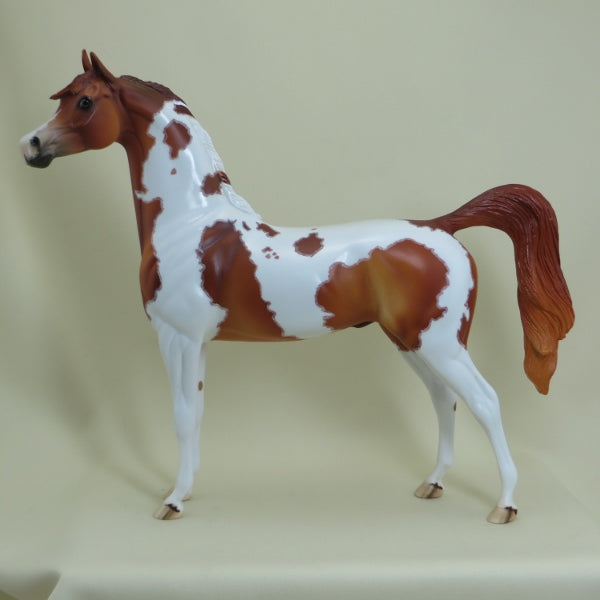ANTIGO - OOAK Chestnut Pinto Arabian with Mapping 4/15