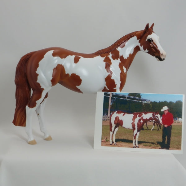 AWESOME ANGEL - Chestnut Paint  Mare 2015 SHCF  LE18 4/15