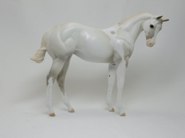 YANG - OOAK White Paint Weanling 2/15