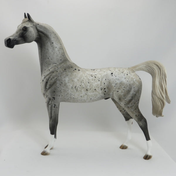 HAVANA - OOAK Appaloosa Arabian 5/15
