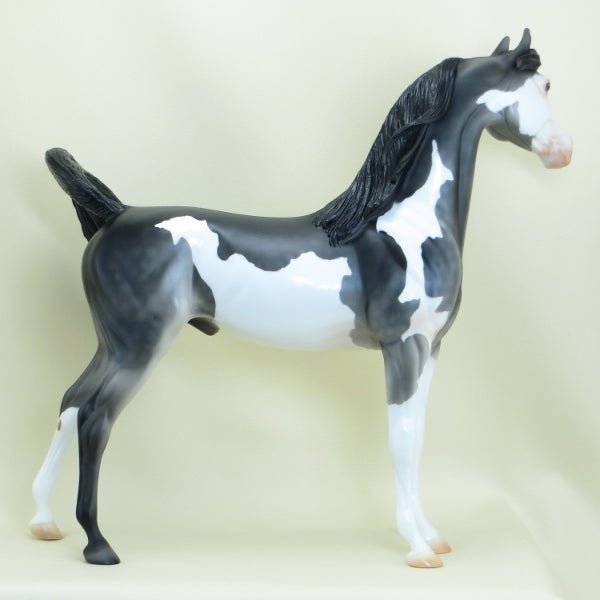 KUMBAYA - OOAK Dark Dapple Gray Pinto Arabian - 3/15
