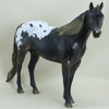 COOLIDGE - OOAK Black Appaloosa w/ Gold Highlights Unicorn Stock 2/15