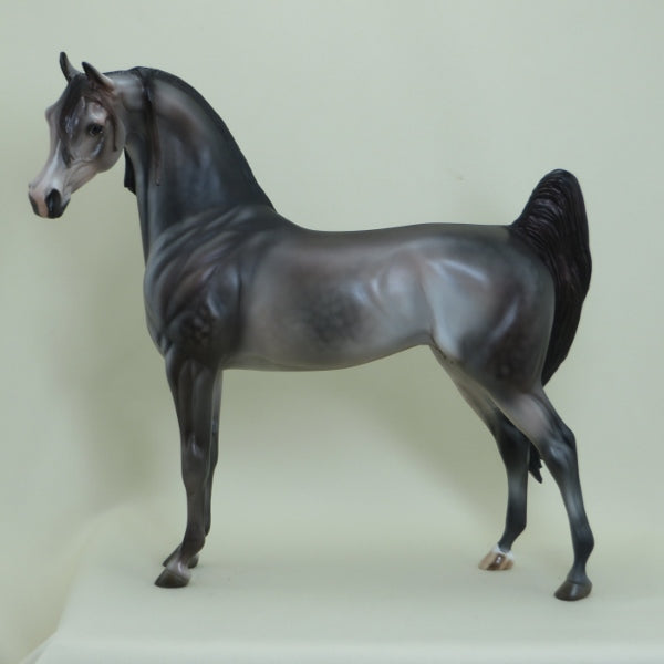 SWEET AFTON - OOAK Dapple Rose Gray Arabian with Long Groomed Mane 4/15