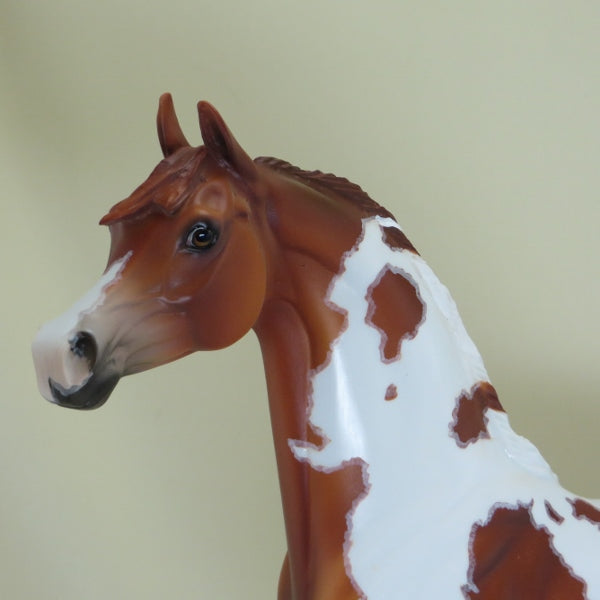 ANTIGO - OOAK Chestnut Pinto Arabian with Mapping 4/15