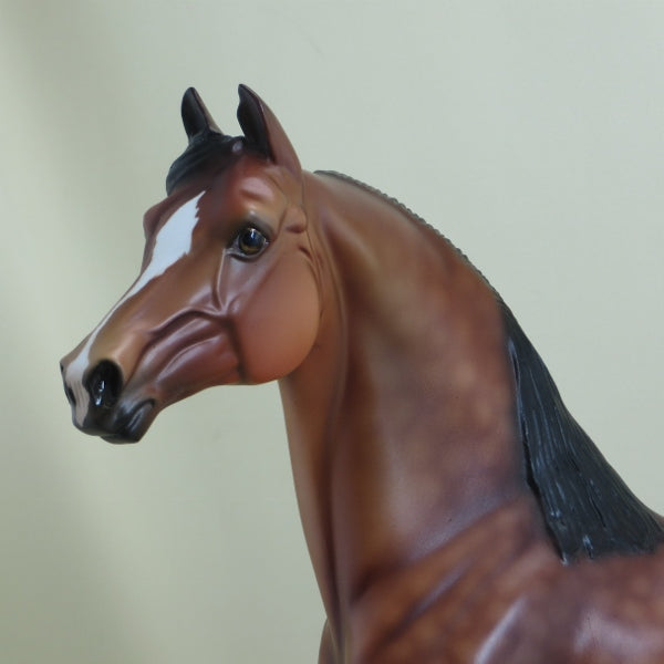 APPLE JACK - OOAK Dapple Bay Morgan 4/15