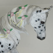 THE THEORY OF EVERYTHING - OOAK Appaloosa Thoroughbred with Delicate Flowers & Ribbons - 2/15