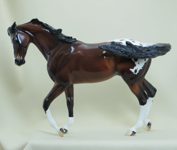 KEELAND - OOAK Bay Appaloosa Thoroughbred with Pinned Ears 4/15