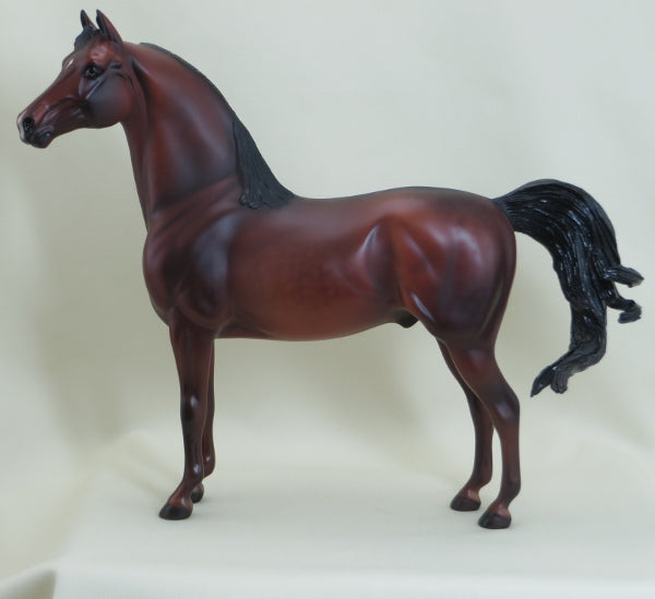 WEST COAST FRIENDSHIP - OOAK Dapple Bay Morgan 3/15