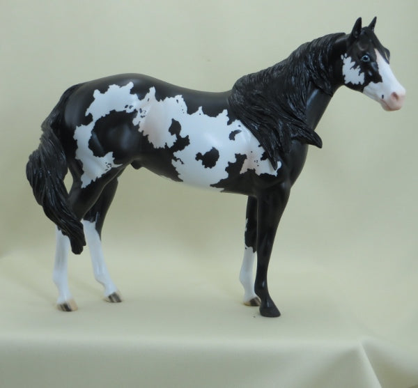 CHECKERS - OOAK Black Overo Paint 4/15
