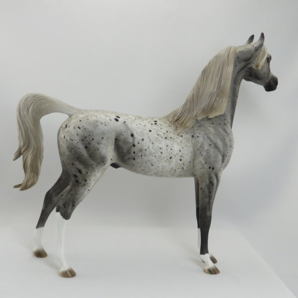 HAVANA - OOAK Appaloosa Arabian 5/15