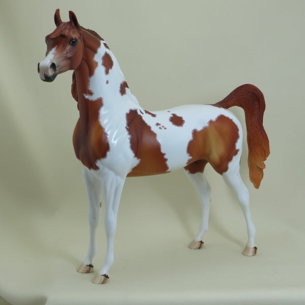 ANTIGO - OOAK Chestnut Pinto Arabian with Mapping 4/15