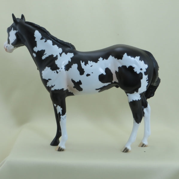 CHECKERS - OOAK Black Overo Paint 4/15