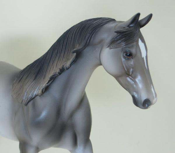 JUBILATION - OOAK Gray Appaloosa Pony w/ Flowing Mane 3/15