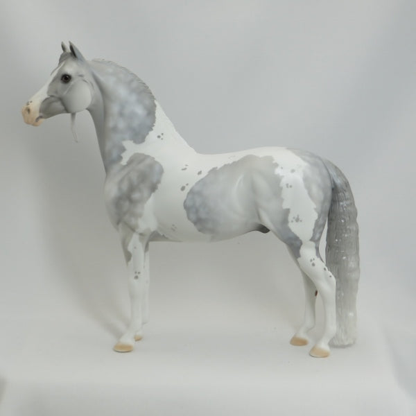 PARTLY SUNNY - OOAK Star Dapple Pinto Morgan 5/15