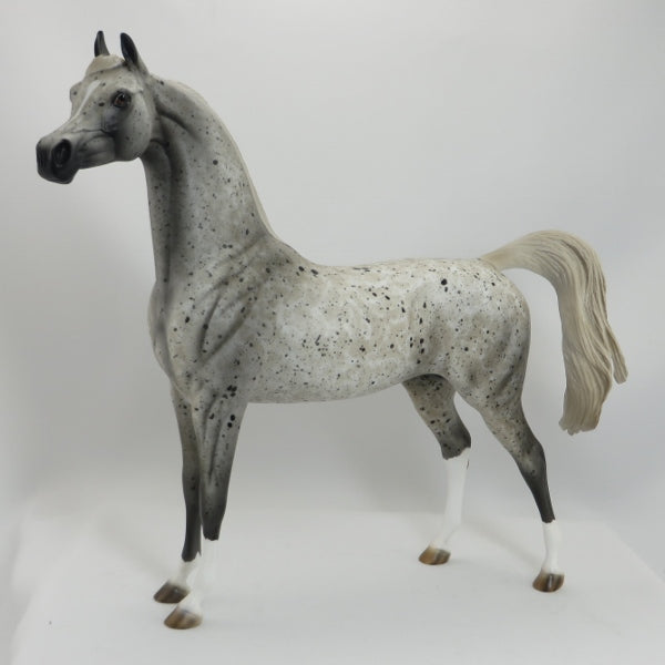 HAVANA - OOAK Appaloosa Arabian 5/15