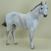 MACGRATH - OOAK Decorator Marbled Ratty Mane Stock Horse 3/15