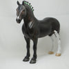 W.H. TAFT - OOAK Dapple Sunburnt Black Drafter w/ Green Bobs 2/15