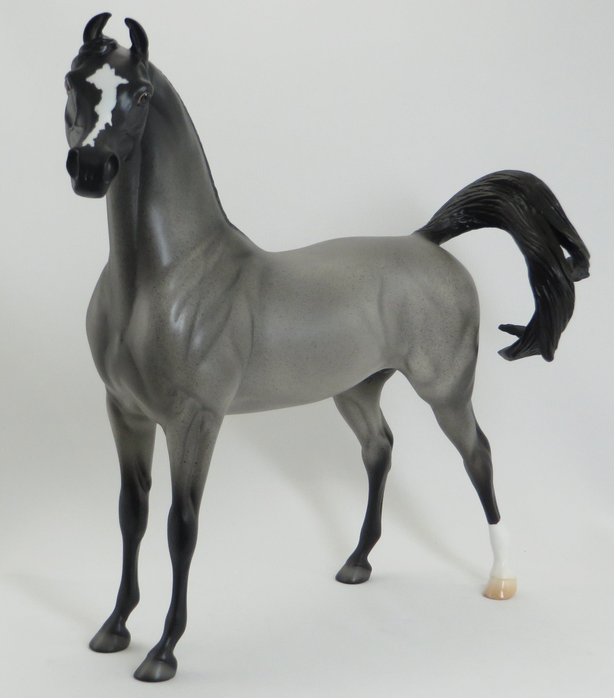 ZALANK - OOAK Blue Roan Arabian Marwari Model Horse - 5/15