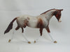 RUTHERFORD HAYES - OOAK Red Roan Palouse 2/15