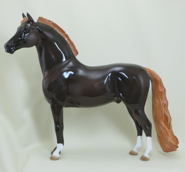 GREAT TRAIN ROBBERY - OOAK Dark Liver Chestnut Morgan - 4/15