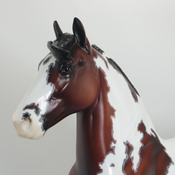 LUMBERJACK - OOAK Dapple Bay Mapped Pinto Trotting Draft Horse 5/15