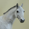 MACGRATH - OOAK Decorator Marbled Ratty Mane Stock Horse 3/15