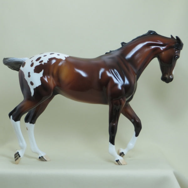 KEELAND - OOAK Bay Appaloosa Thoroughbred with Pinned Ears 4/15