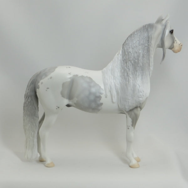 PARTLY SUNNY - OOAK Star Dapple Pinto Morgan 5/15