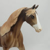 DREAM OF YOU - OOAK Red Chestnut Dapple Pony by D&#39;Arry Jone Frank - 5/15
