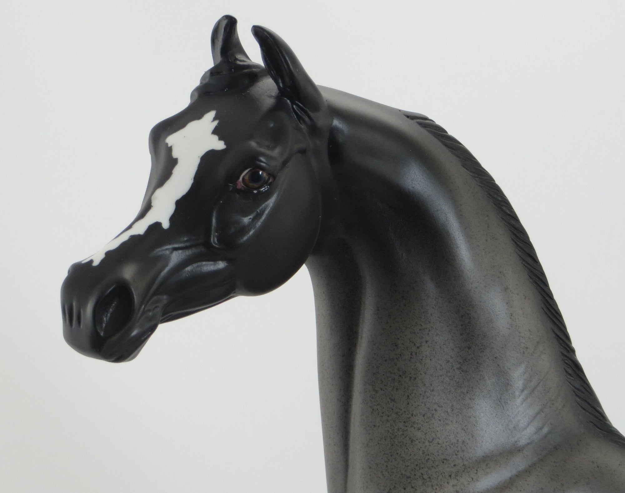 ZALANK - OOAK Blue Roan Arabian Marwari Model Horse - 5/15