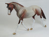 RUTHERFORD HAYES - OOAK Red Roan Palouse 2/15