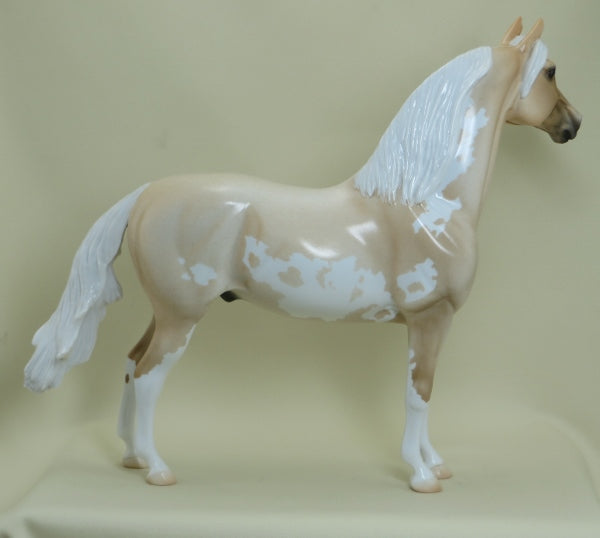 PALL MALL - OOAK Palomino Roan Pinto Morgan 4/15
