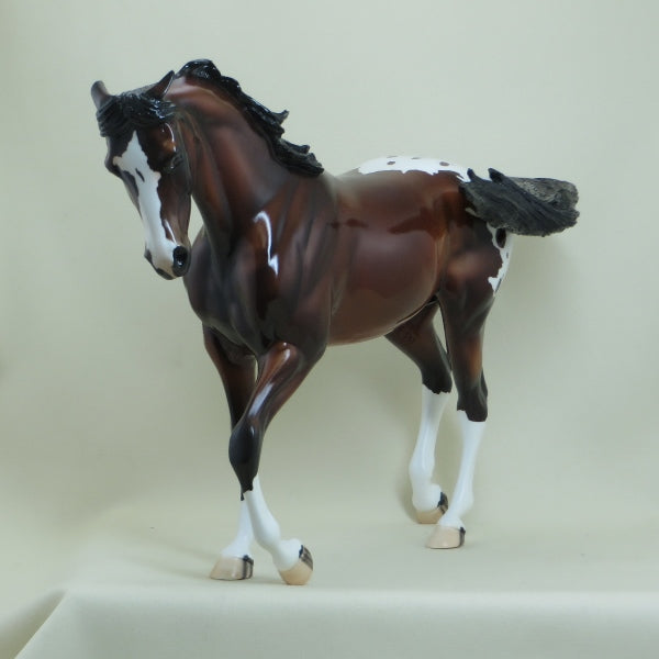 KEELAND - OOAK Bay Appaloosa Thoroughbred with Pinned Ears 4/15