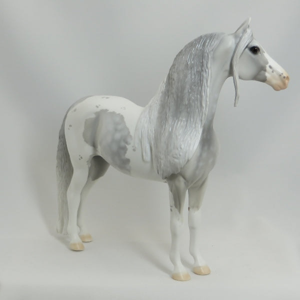 PARTLY SUNNY - OOAK Star Dapple Pinto Morgan 5/15