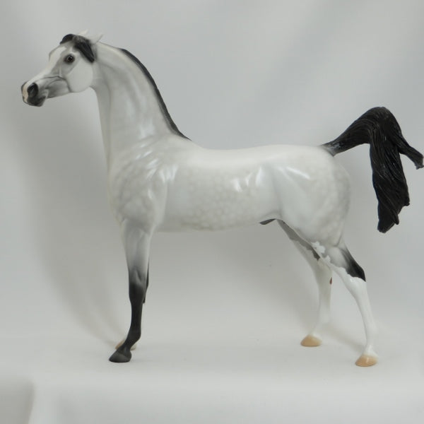 HELENA'S ANGEL - OOAK Dapple Gray Pinned Ear Arabian - 5/15