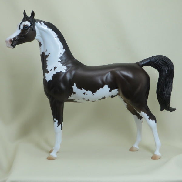 EGG HUNT - OOAK Brown Pinto Arabian with Listening Ear - 3/15