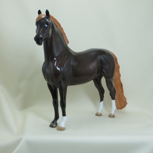 GREAT TRAIN ROBBERY - OOAK Dark Liver Chestnut Morgan - 4/15