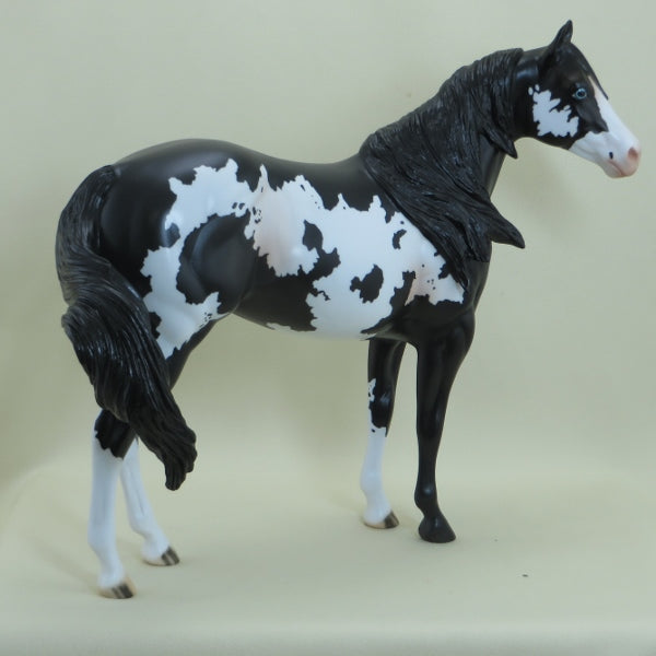 CHECKERS - OOAK Black Overo Paint 4/15