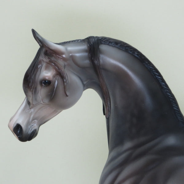 SWEET AFTON - OOAK Dapple Rose Gray Arabian with Long Groomed Mane 4/15